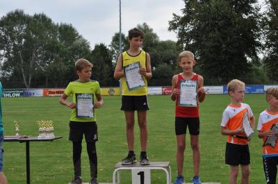 Foto des Albums: Angermünder Sommerlauf