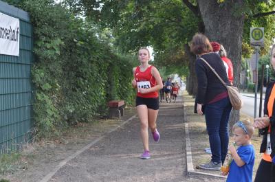 Foto des Albums: Angermünder Sommerlauf