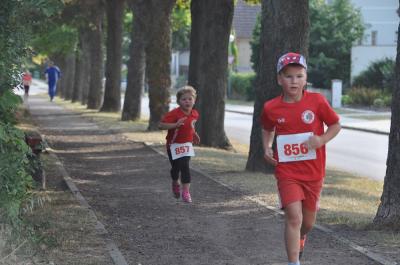 Foto des Albums: Angermünder Sommerlauf