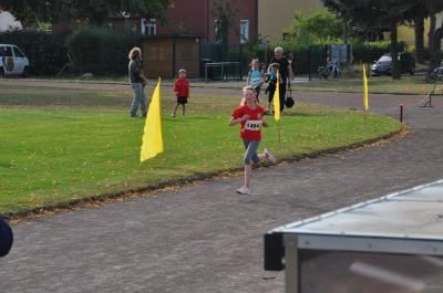 Foto des Albums: Angermünder Sommerlauf