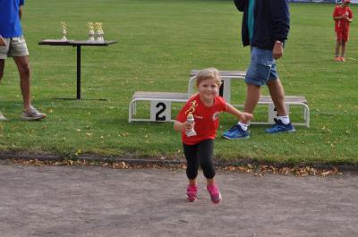 Foto des Albums: Angermünder Sommerlauf