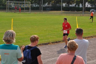 Foto des Albums: Angermünder Sommerlauf