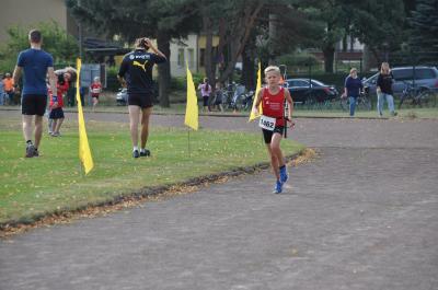 Foto des Albums: Angermünder Sommerlauf