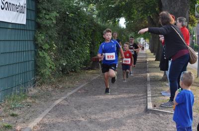 Foto des Albums: Angermünder Sommerlauf