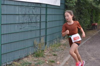 Foto des Albums: Angermünder Sommerlauf