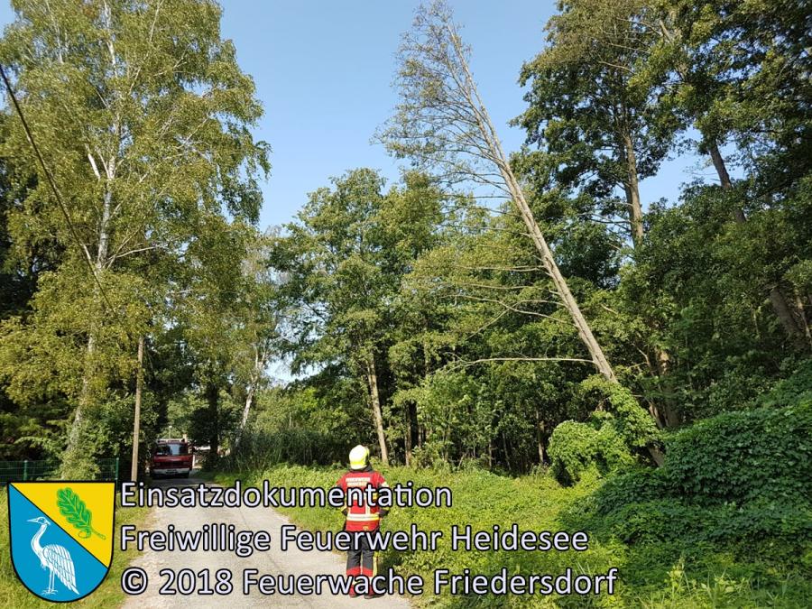 Bild: Einsatz 82/2018 | 2 Bäume drohen auf Straße zu stürzen | Bindow Lehnschulzenweg