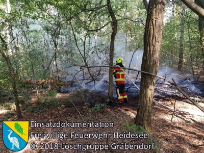 Vorschaubild: Einsatz 83/2018 | 25m² Waldbodenbrand | Gussow Bindower Straße