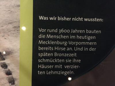 Foto des Albums: Junge Archäologen im Müritzeum (13.08.2018)