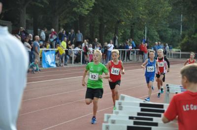 Foto des Albums: LM U12/U14 Eberswalde