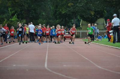 Foto des Albums: LM U12/U14 Eberswalde