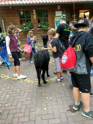 Fotoalbum Zooschule2018