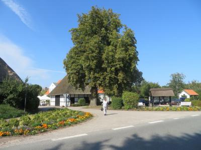 Foto des Albums: Schleifahrt