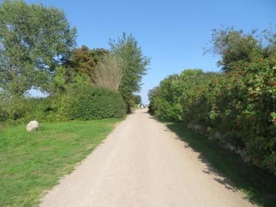 Foto des Albums: Schleifahrt