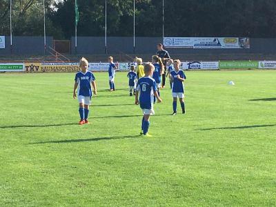 Foto des Albums: 15.09.2018 F-Jugend