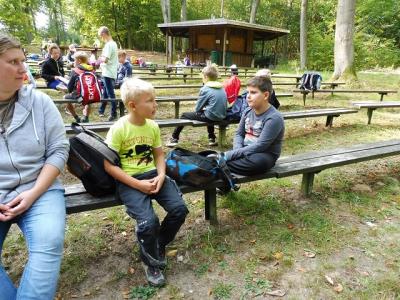 Foto des Albums: Waldfest 2018