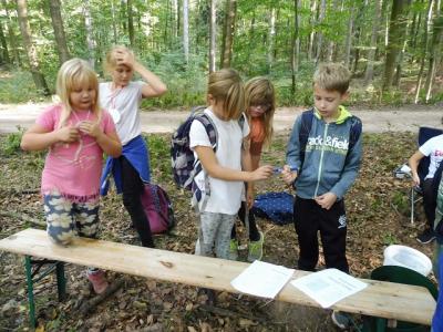 Foto des Albums: Waldfest 2018