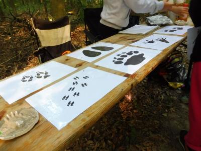 Foto des Albums: Waldfest 2018