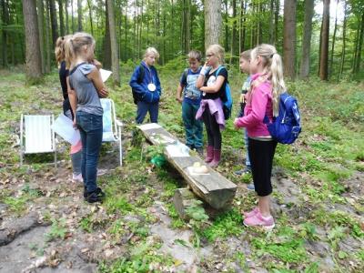 Foto des Albums: Waldfest 2018
