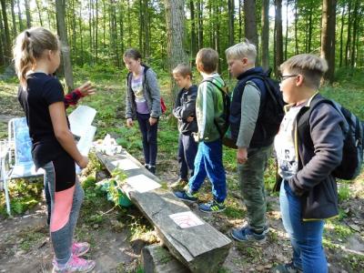 Foto des Albums: Waldfest 2018