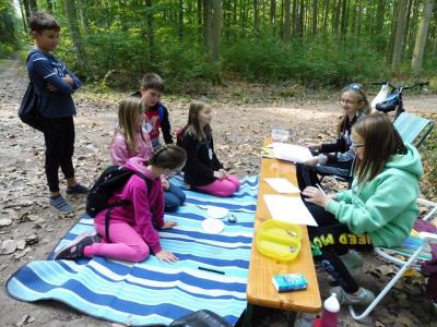 Foto des Albums: Waldfest 2018