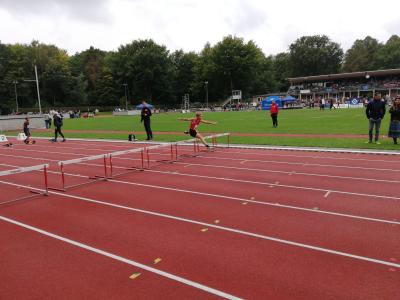 Foto des Albums: Fest der 1000 Zwerge