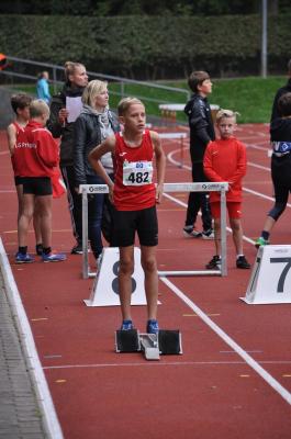 Foto des Albums: Fest der 1000 Zwerge