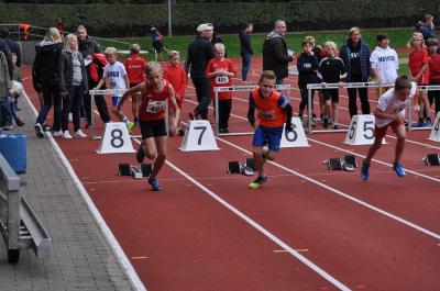 Foto des Albums: Fest der 1000 Zwerge