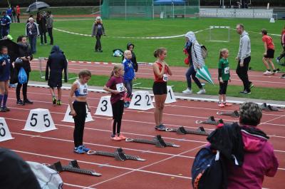 Foto des Albums: Fest der 1000 Zwerge