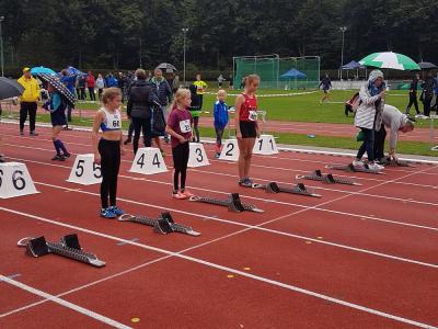 Foto des Albums: Fest der 1000 Zwerge