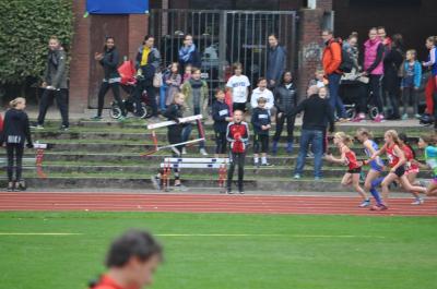 Foto des Albums: Fest der 1000 Zwerge