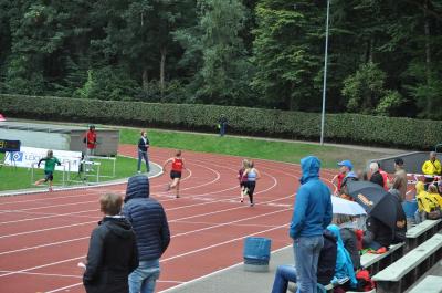 Foto des Albums: Fest der 1000 Zwerge
