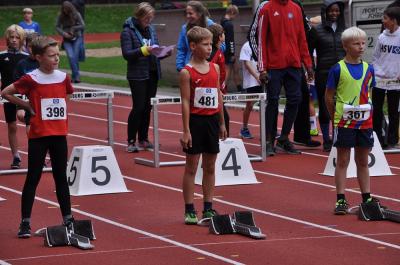Foto des Albums: Fest der 1000 Zwerge