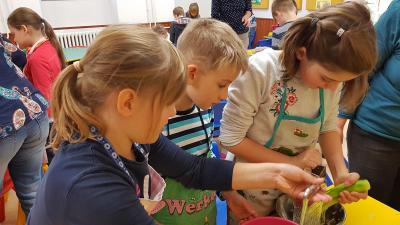 Foto des Albums: Die Klasse 3 bereitet Kartoffelsalat zu