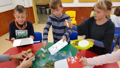 Foto des Albums: Die Klasse 3 bereitet Kartoffelsalat zu