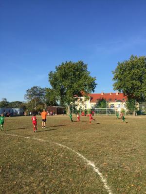 Foto des Albums: 06.10.2018 D-Jugend (08.​10.​2018)