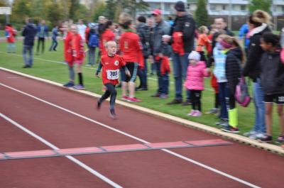 Foto des Albums: Schwedter Herbstlauf
