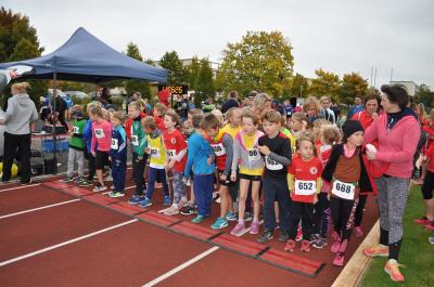 Foto des Albums: Schwedter Herbstlauf