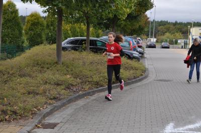 Foto des Albums: Schwedter Herbstlauf