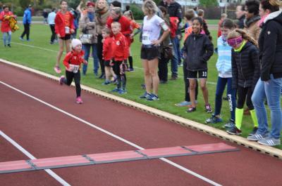 Foto des Albums: Schwedter Herbstlauf