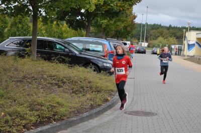 Foto des Albums: Schwedter Herbstlauf
