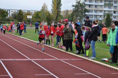 Foto des Albums: Schwedter Herbstlauf