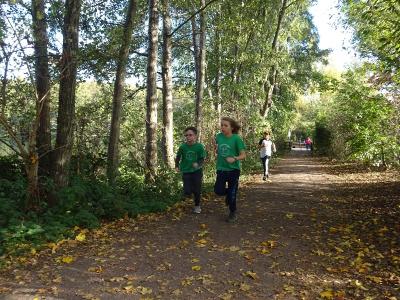Foto des Albums: Kaarster Seelauf Oktober 2018
