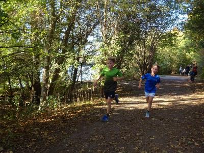 Foto des Albums: Kaarster Seelauf Oktober 2018