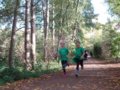 Foto des Albums: Kaarster Seelauf Oktober 2018