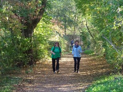 Foto des Albums: Kaarster Seelauf Oktober 2018