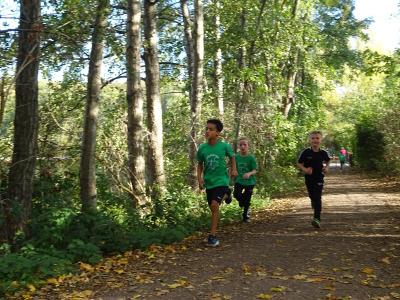 Foto des Albums: Kaarster Seelauf Oktober 2018