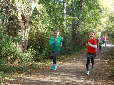 Foto des Albums: Kaarster Seelauf Oktober 2018