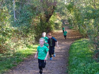 Foto des Albums: Kaarster Seelauf Oktober 2018