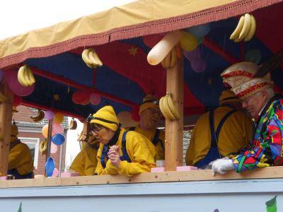 Foto des Albums: Karnevalumzug 2017