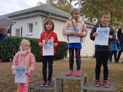 Foto des Albums: Schönower Herbstcross